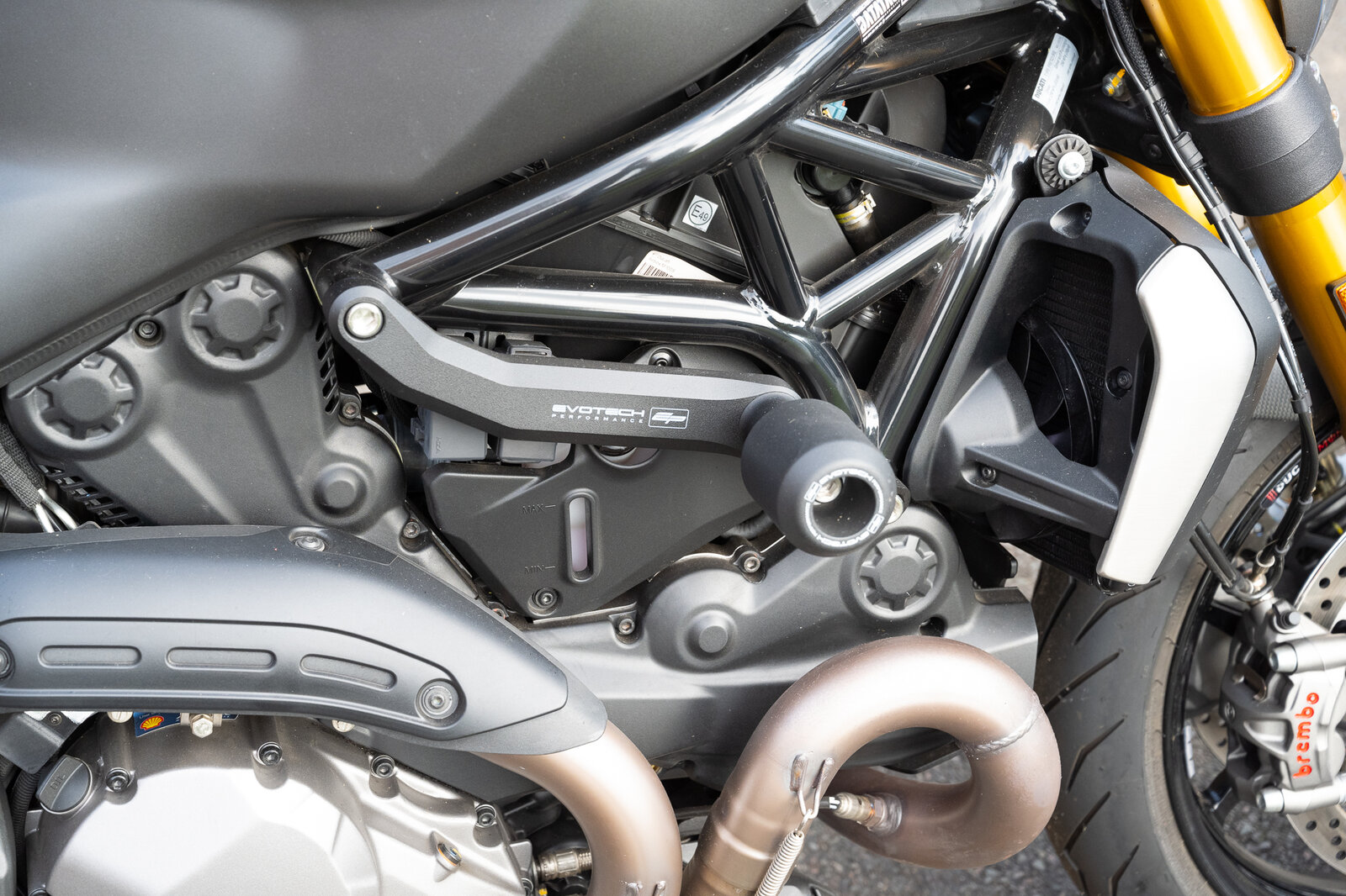 Monster 1200s small jpegs-36.jpg