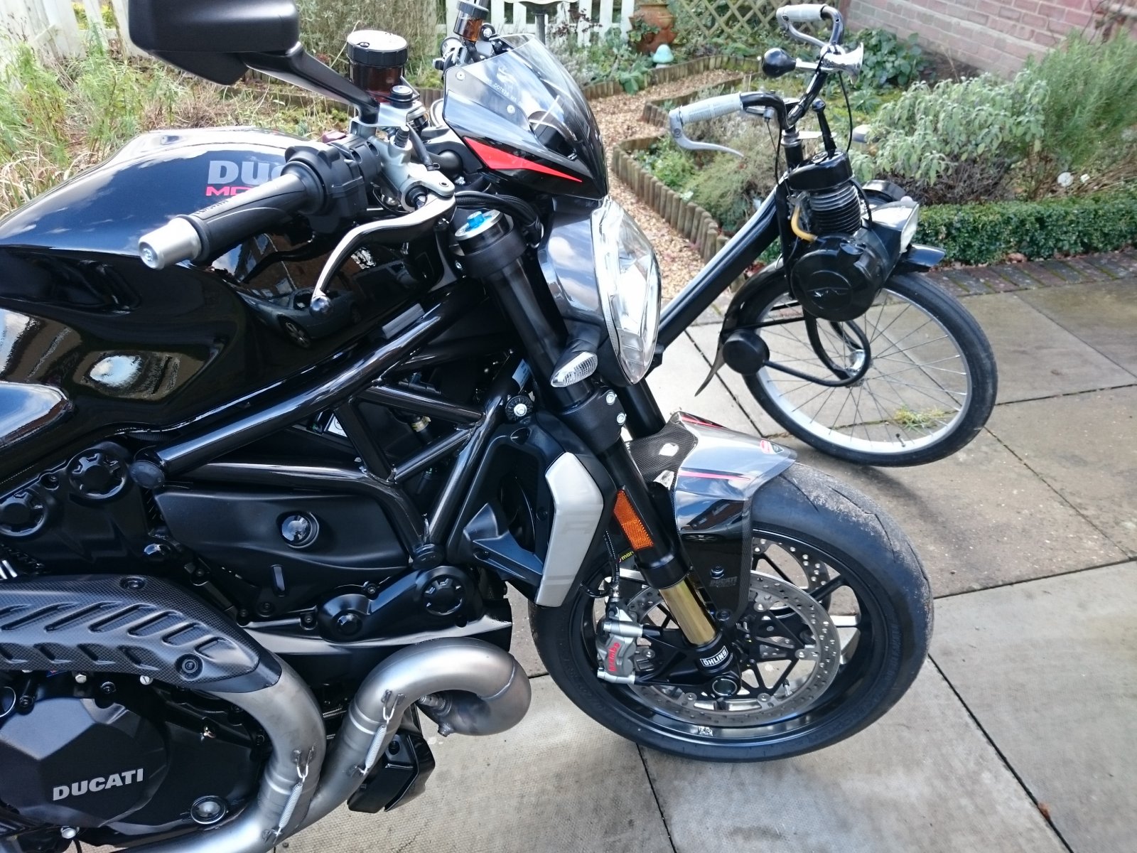 monster solex.JPG