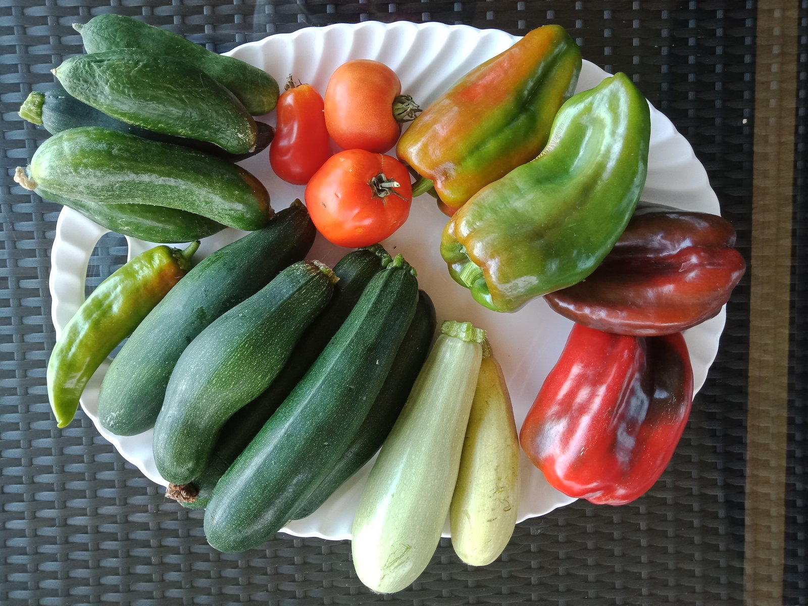 Morning Harvest.jpg