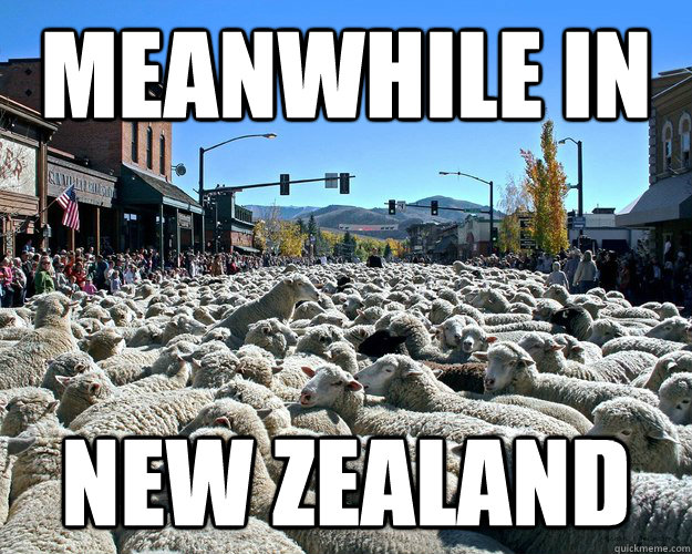 new zealand.jpg