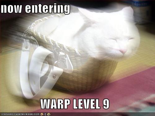 nine.jpg
