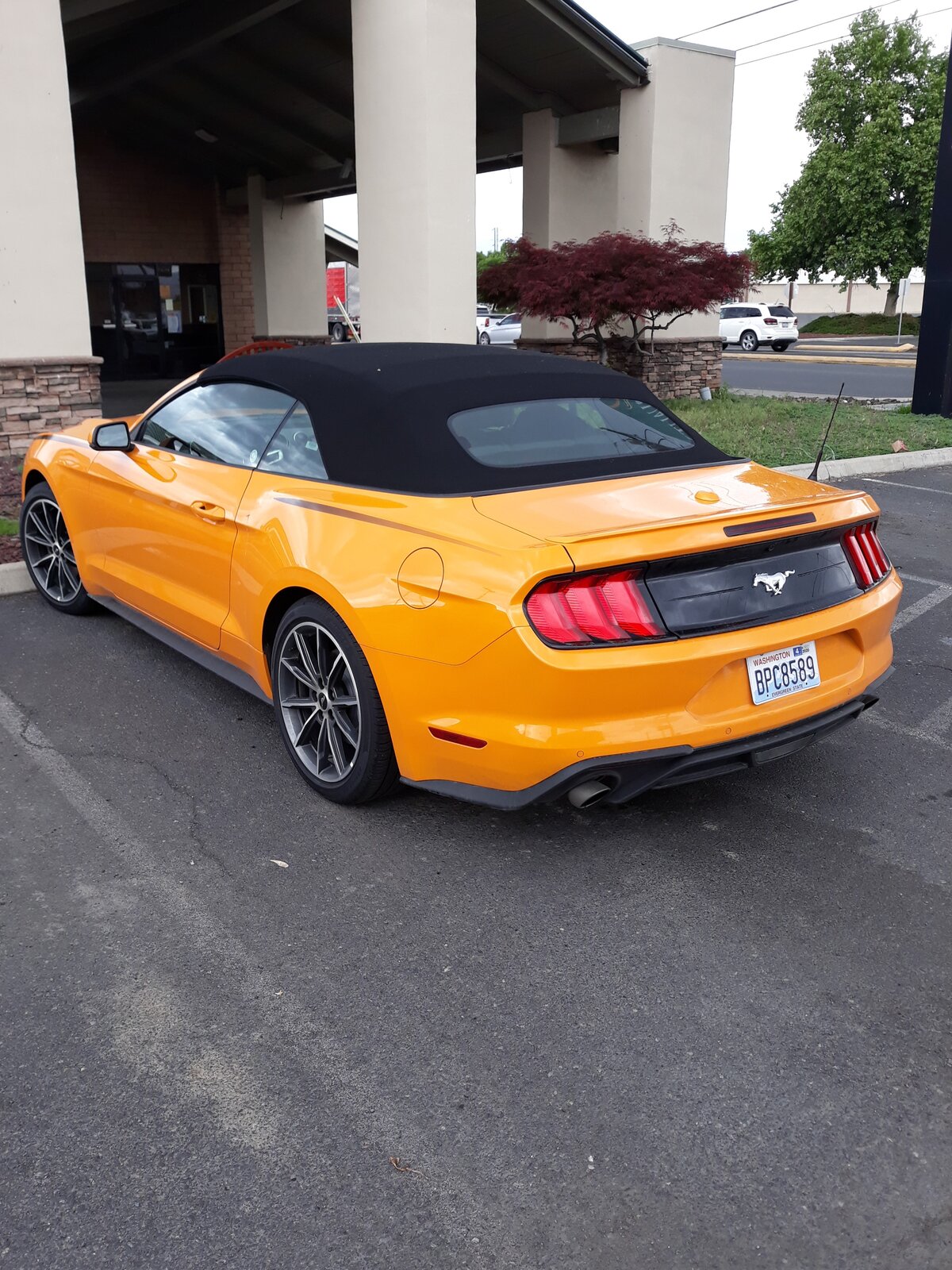 Orange Mustang.jpg