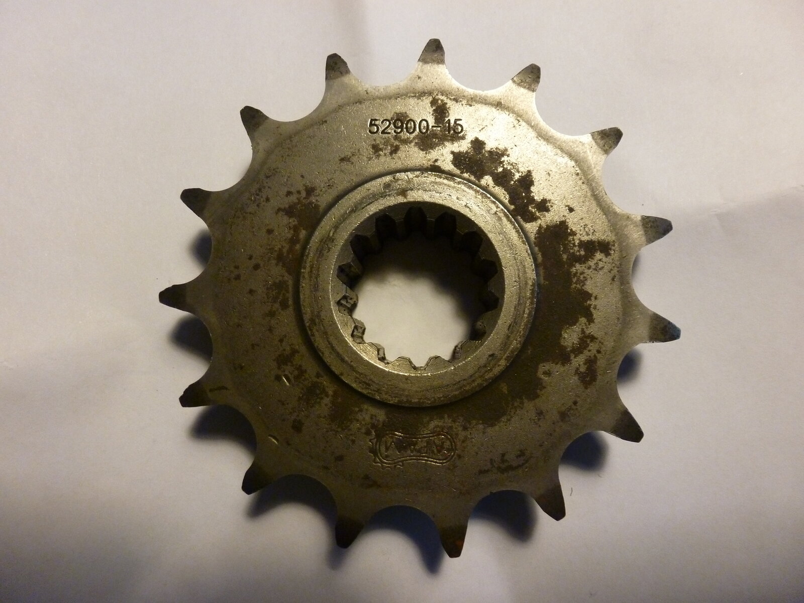 P1000351.JPG