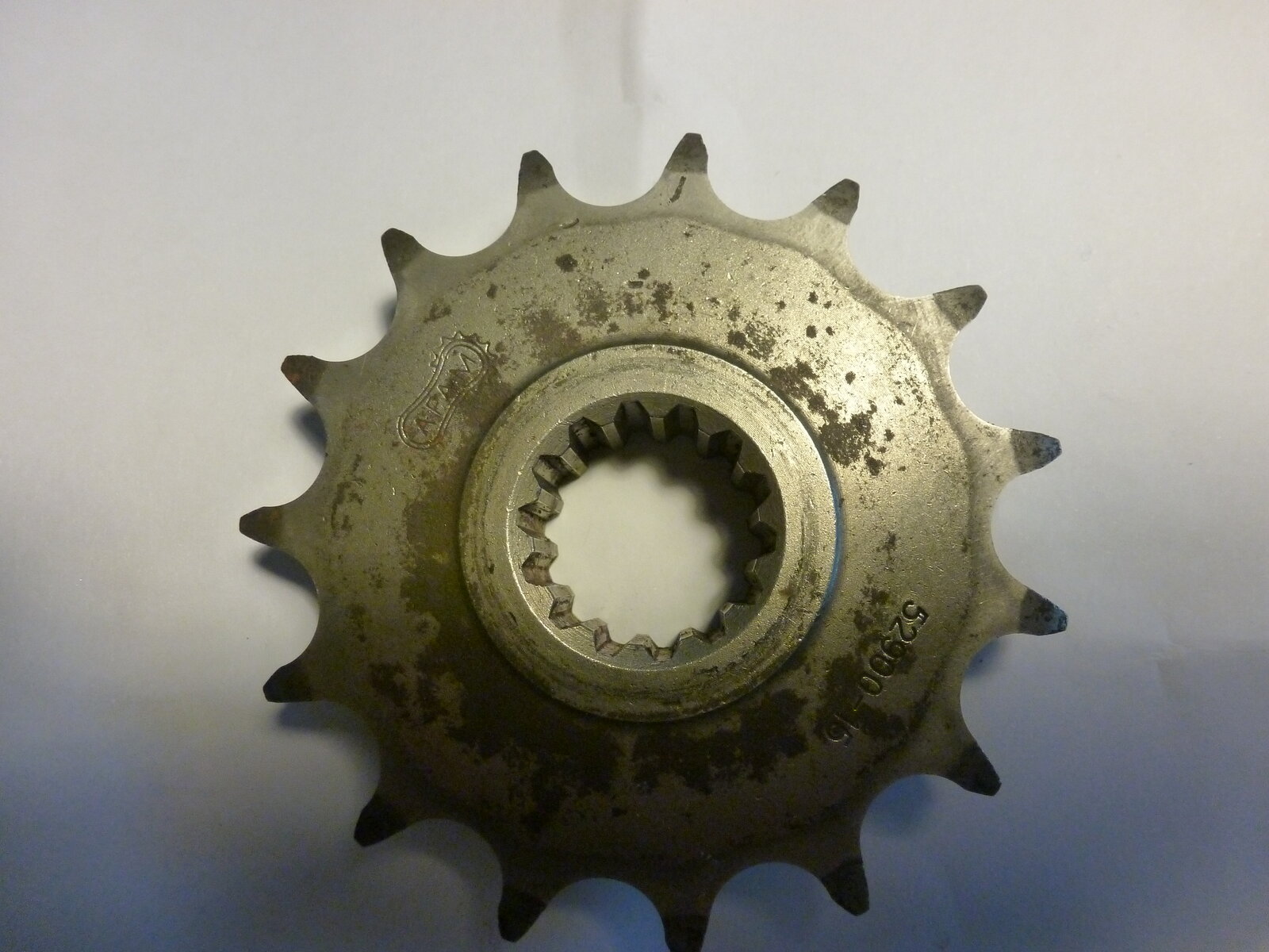 P1000360.JPG