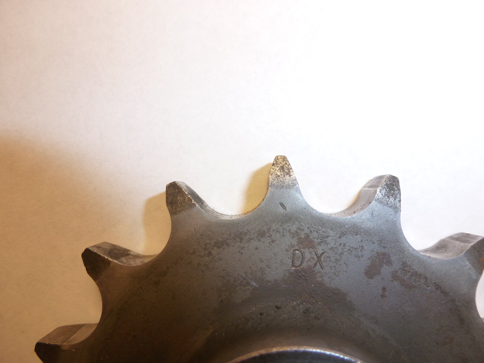 P1000366.JPG