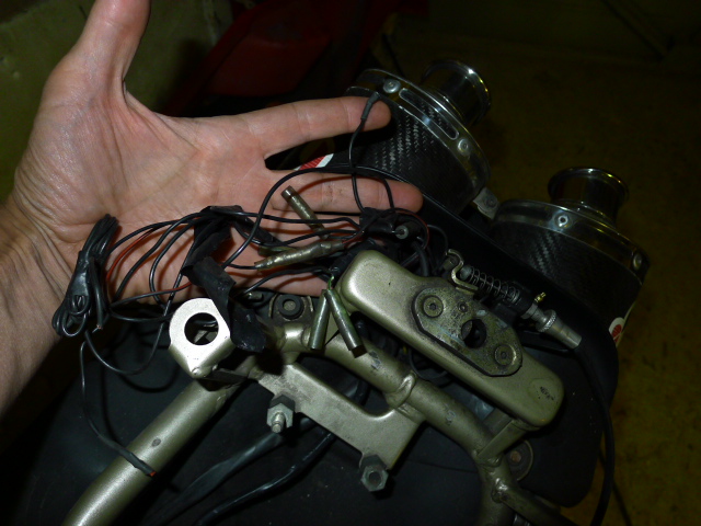 P1030563.JPG