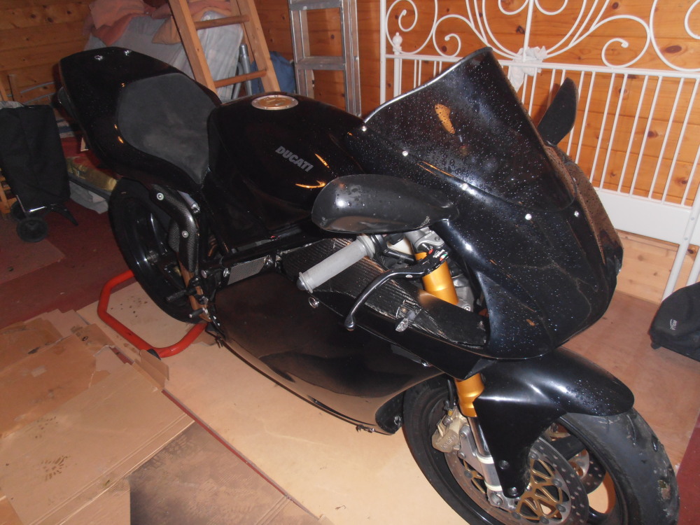 P1040016-1.jpg