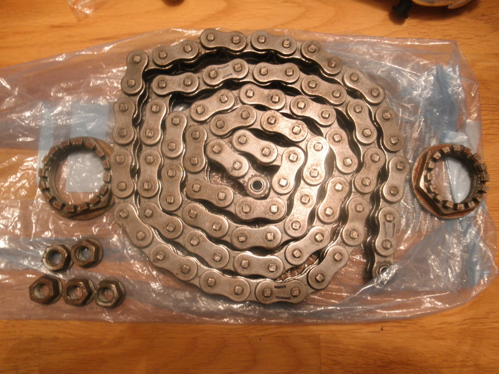 P2190001.JPG