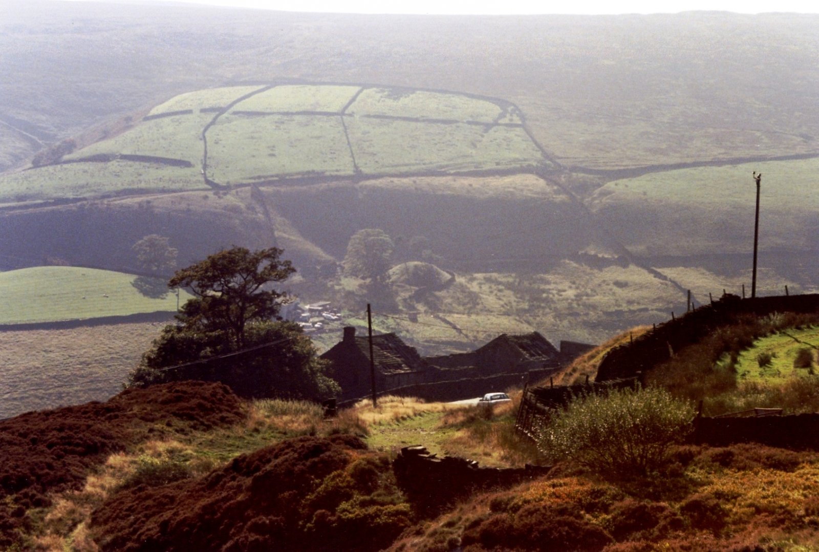 P3ap.jpg