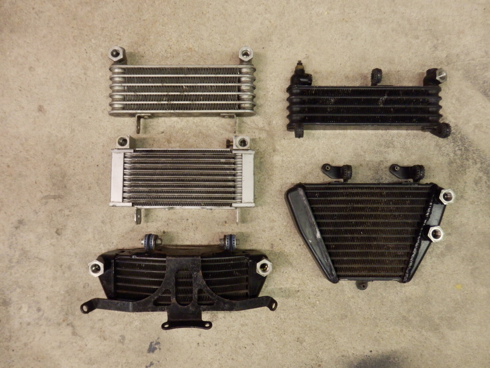 P5100003.JPG