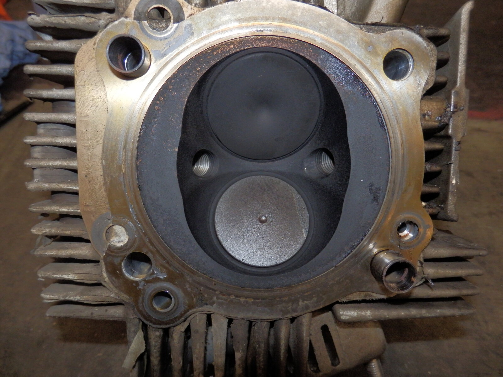 P7310015.JPG