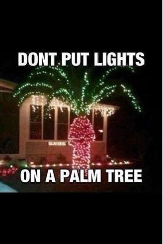 Palm Tree lights.jpg