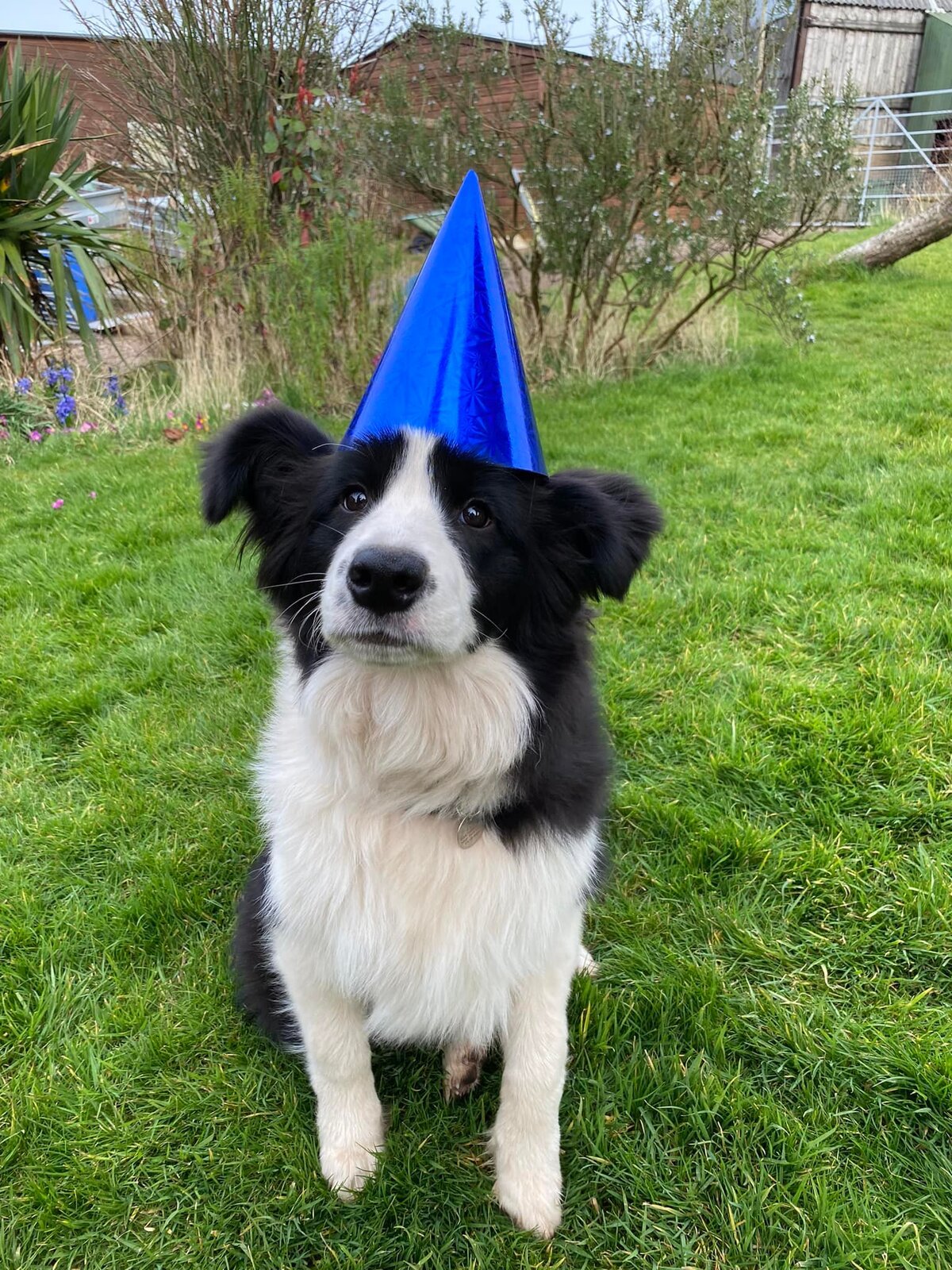 Party.jpg