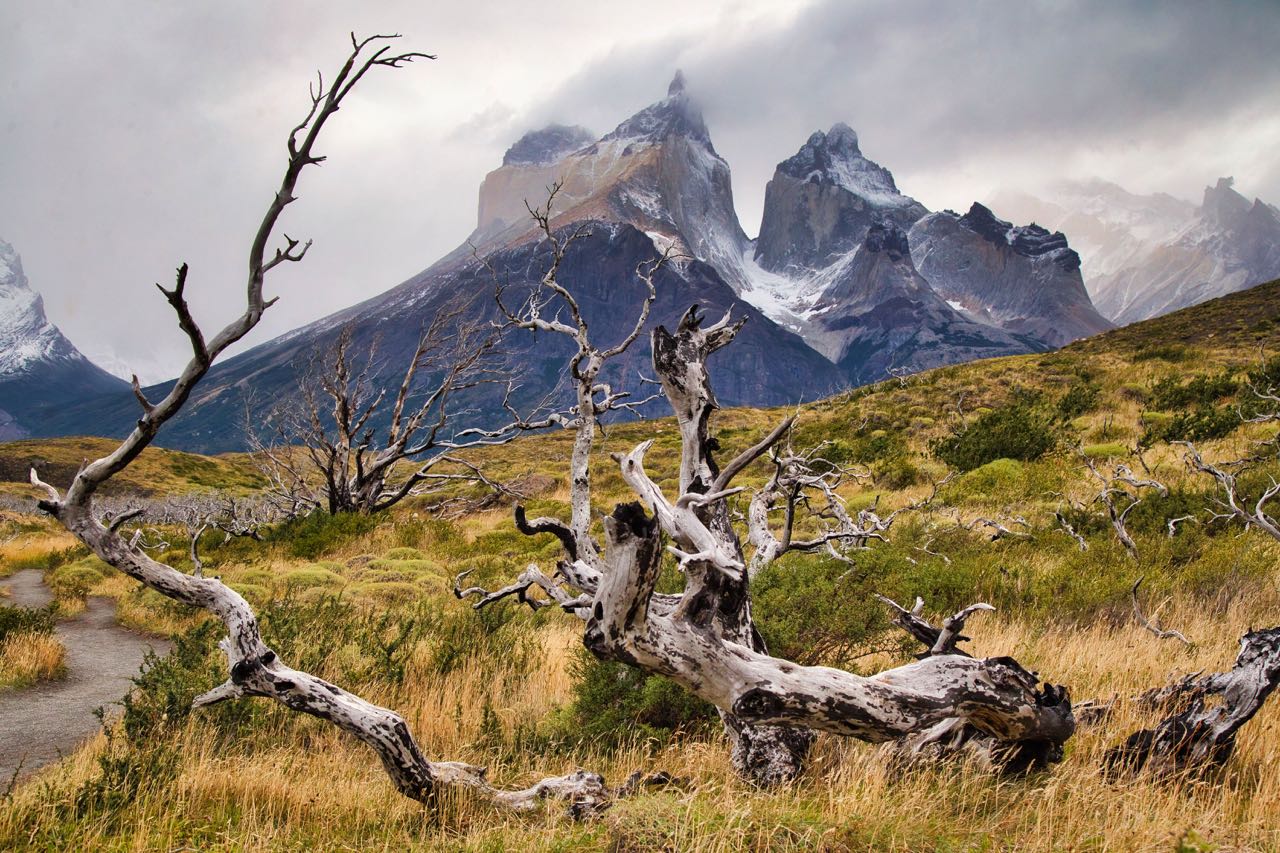 Patagonia.jpg