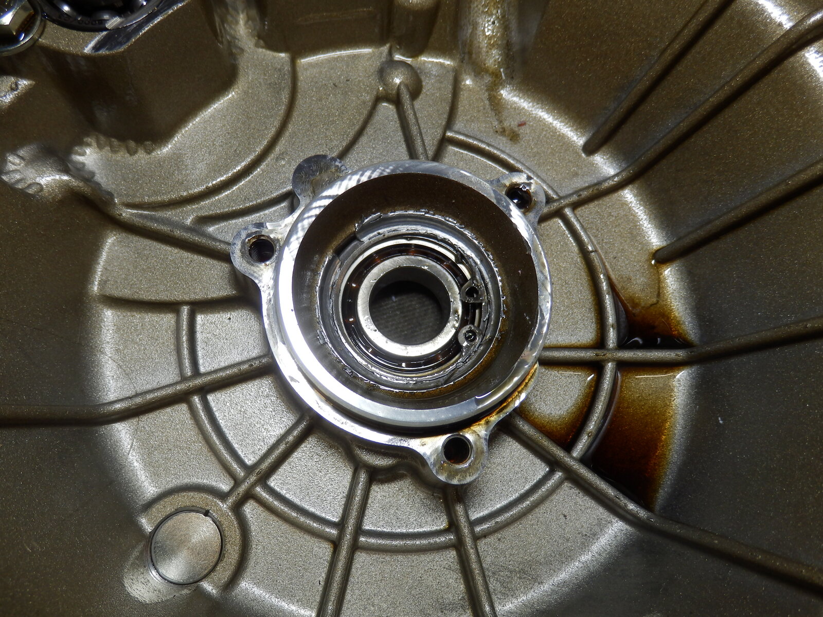 PB110009.JPG