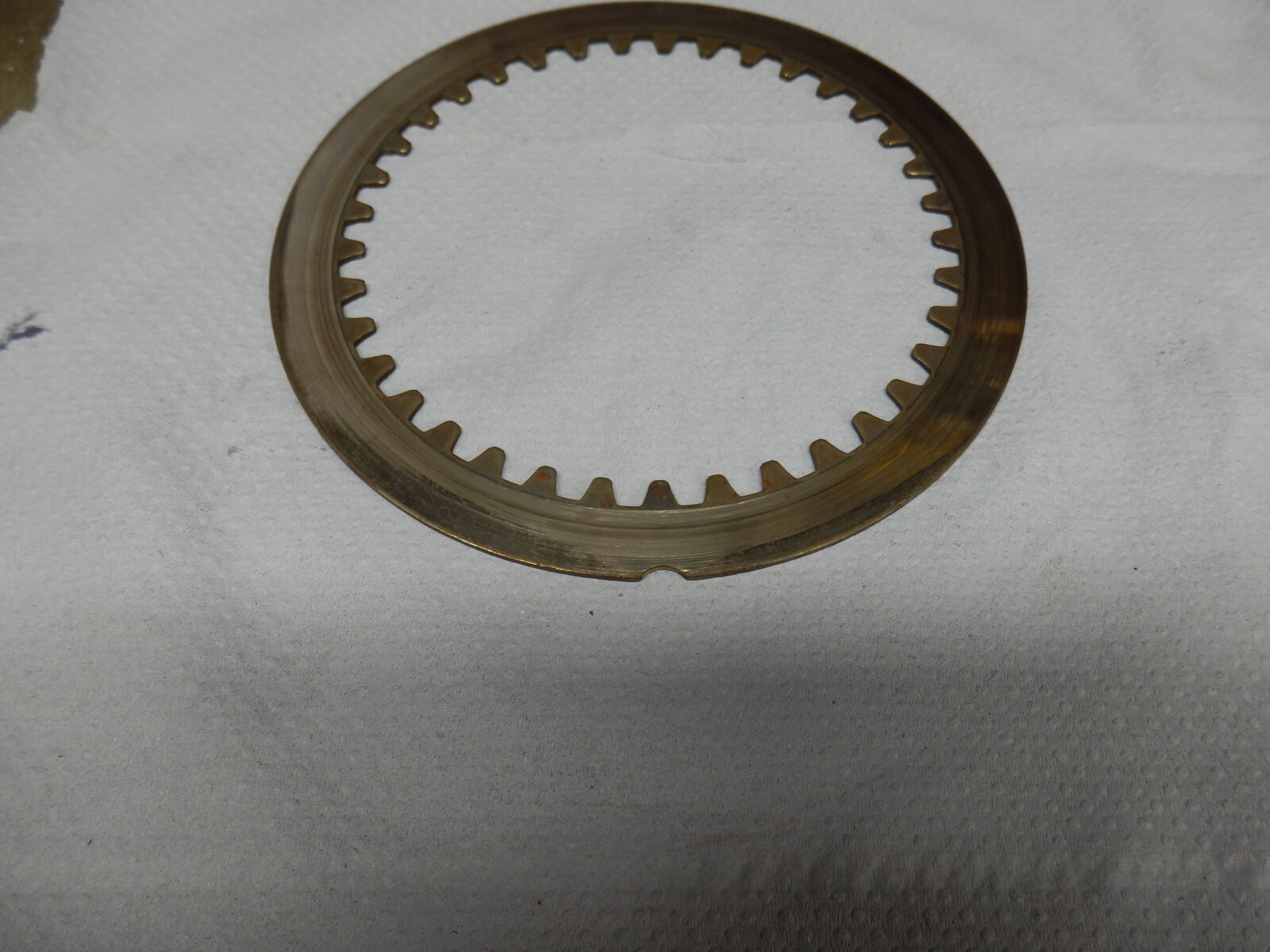 PB210015.JPG