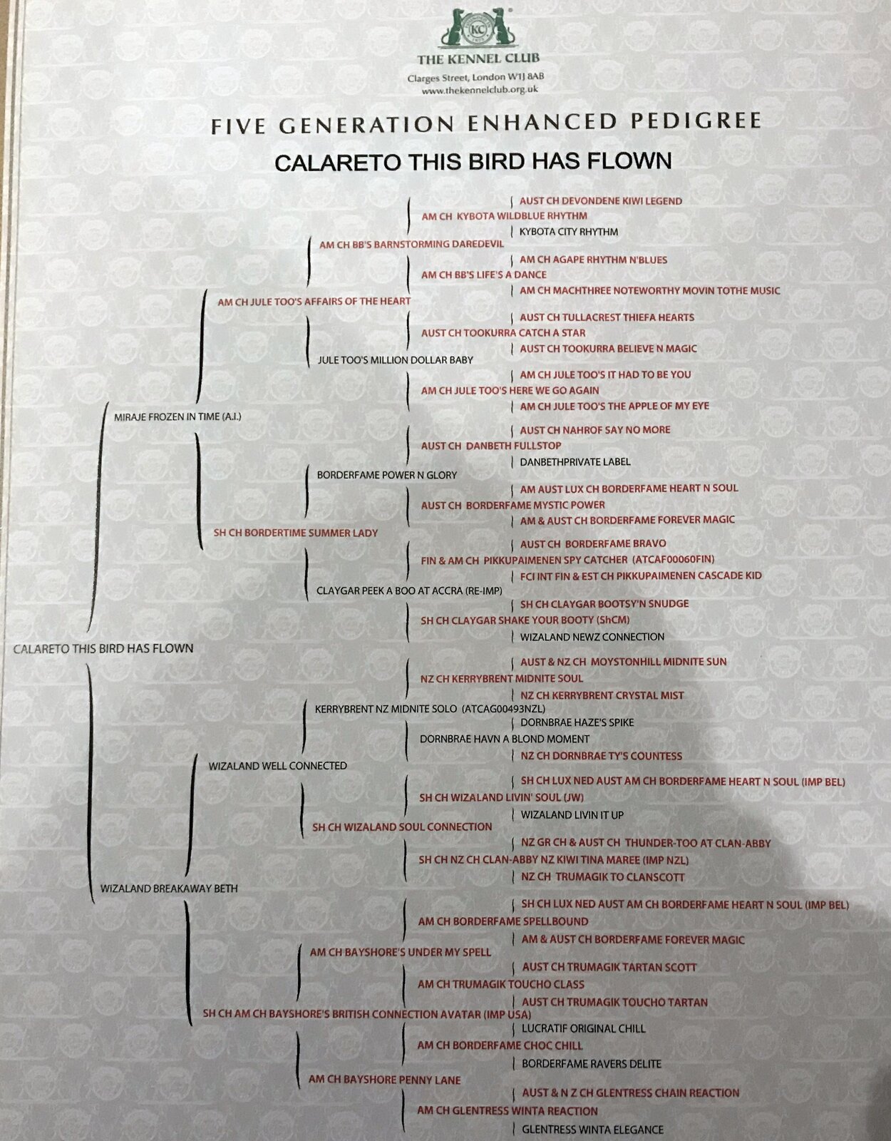 Pedigree(2).jpg
