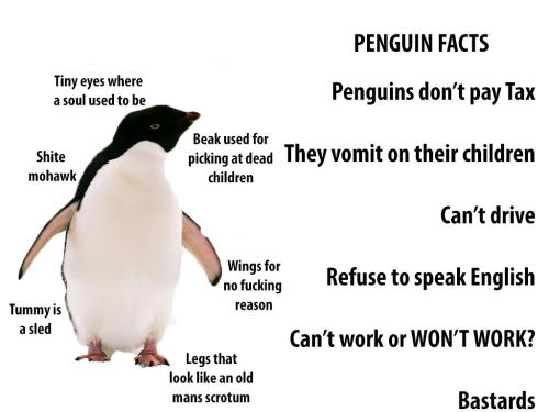 Penguins.jpg