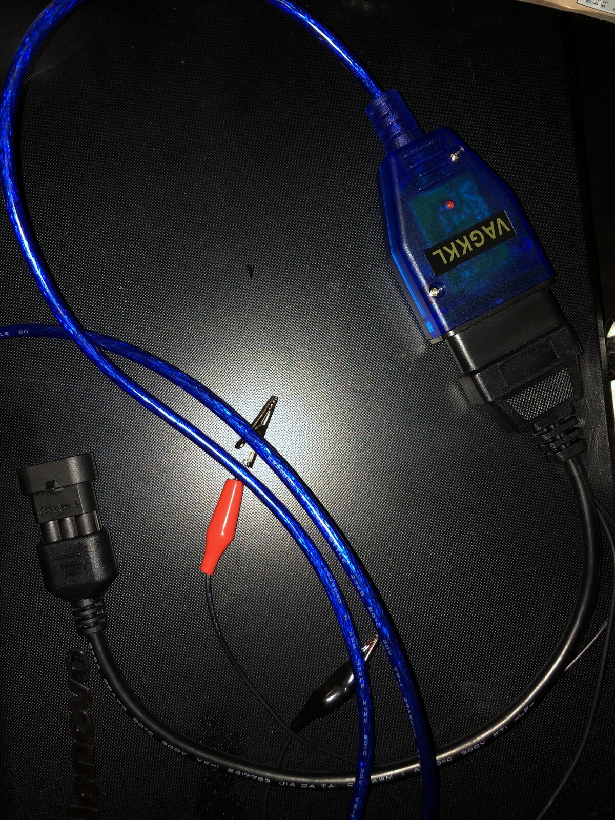 pic2.JPG