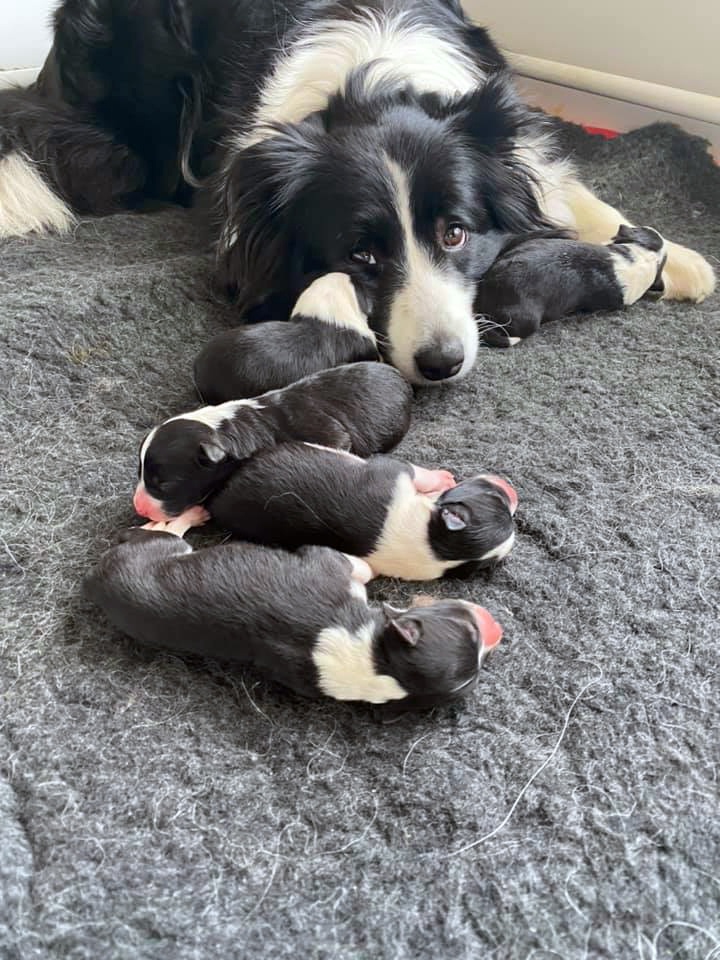 Proud Mum.jpg