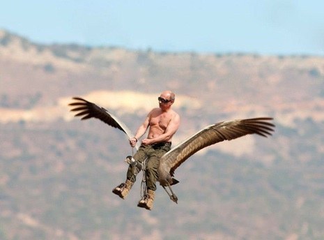 putin-bird.jpg