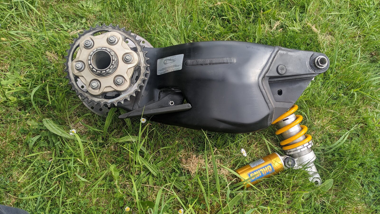 PXL_20250505_145655830.jpg