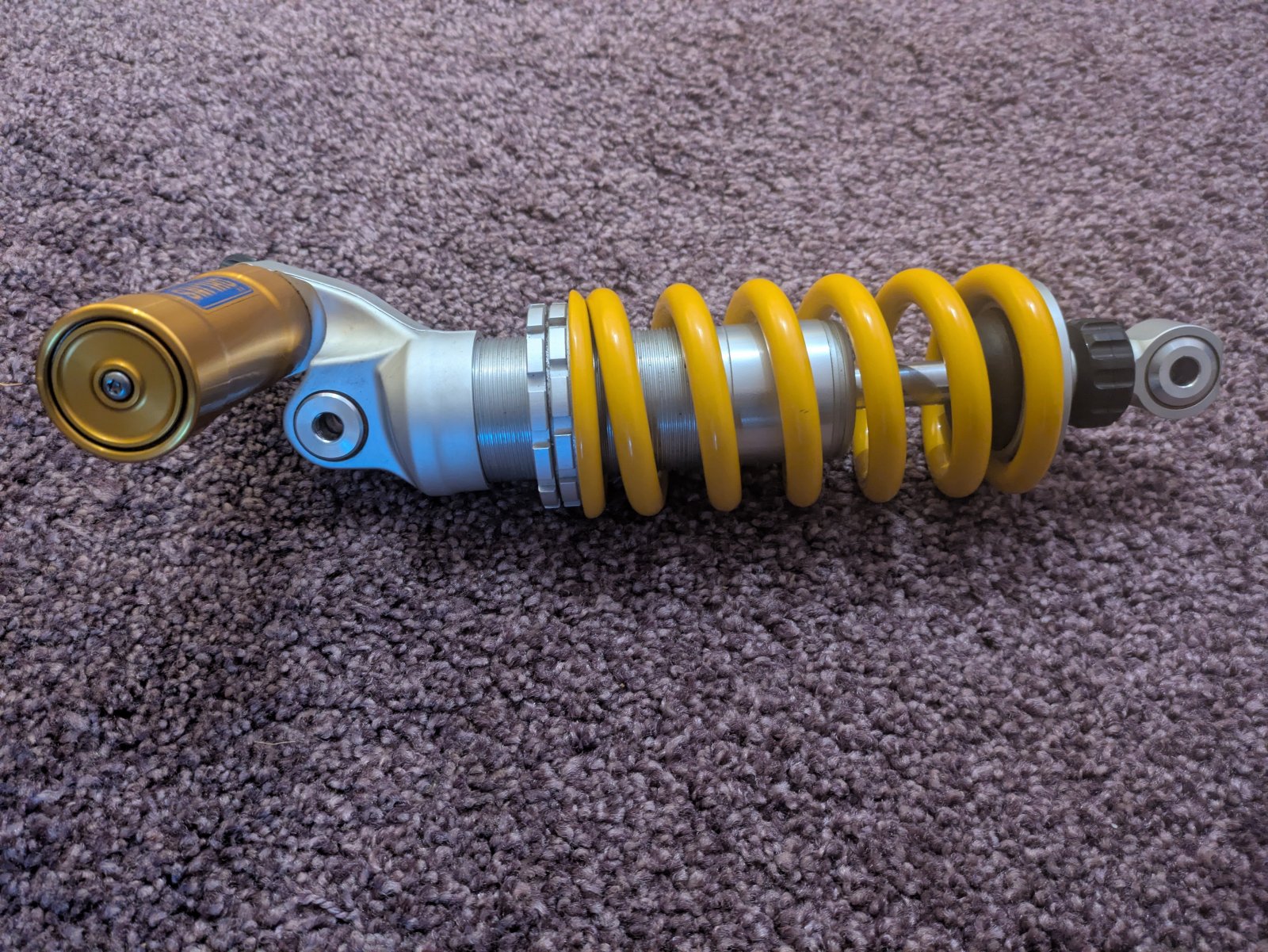 PXL_20260211_160824154 (1).jpg