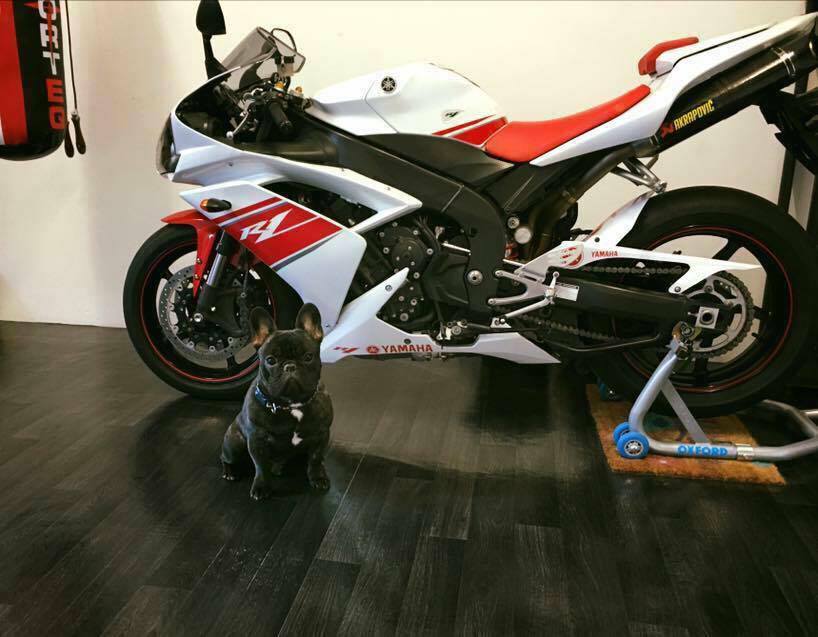 ducati r1 price