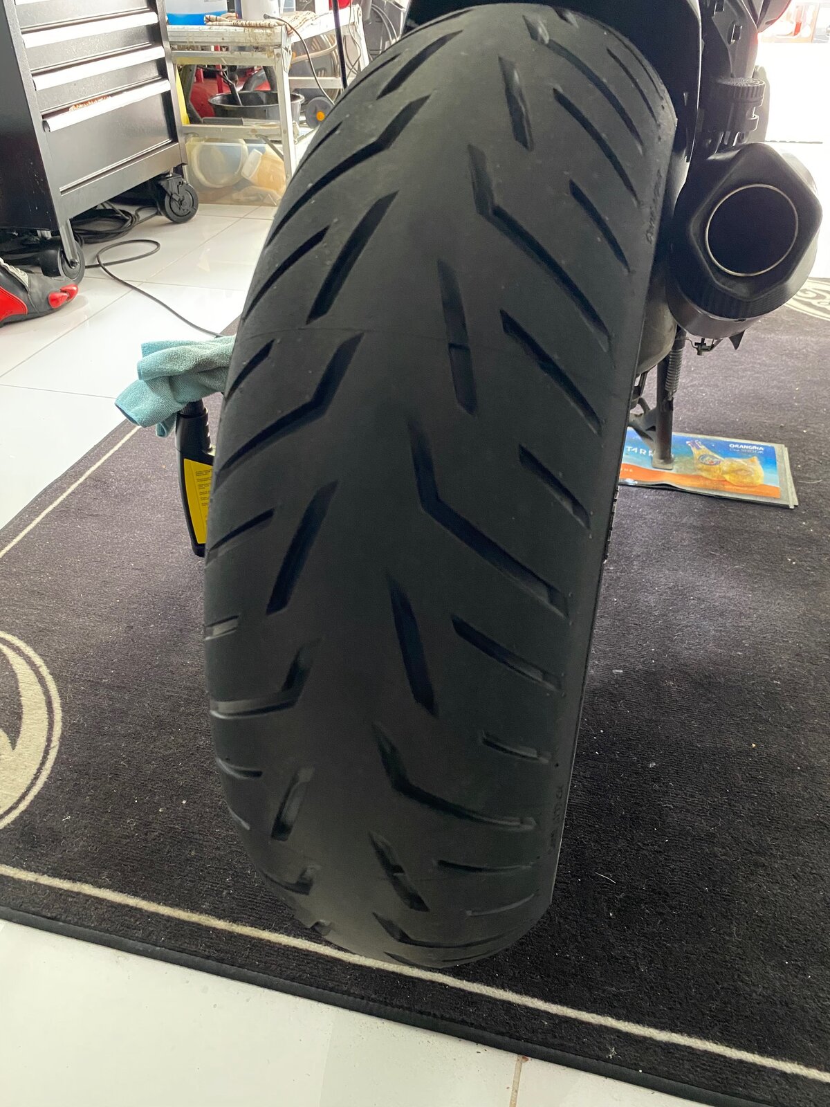 Rear.jpg