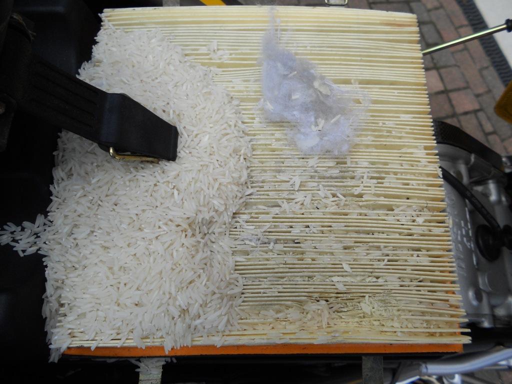 rice filter.JPG