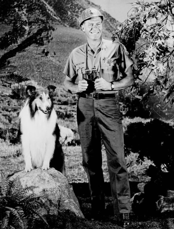 Robert_Bray_Lassie_1967.JPG