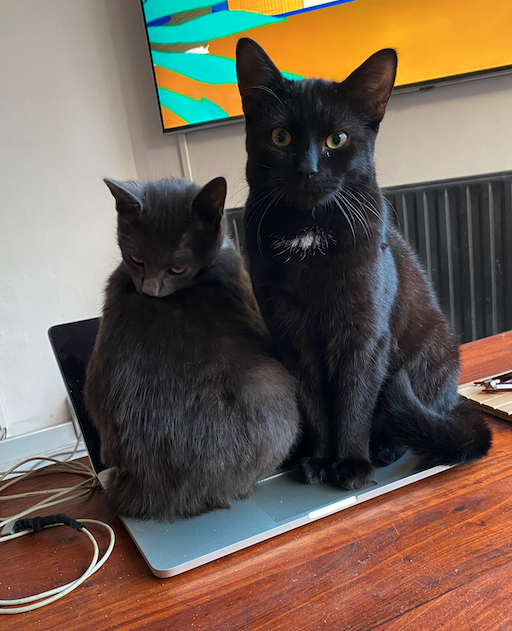 Scherm­afbeelding 2025-12-28 om 12.40.13.png