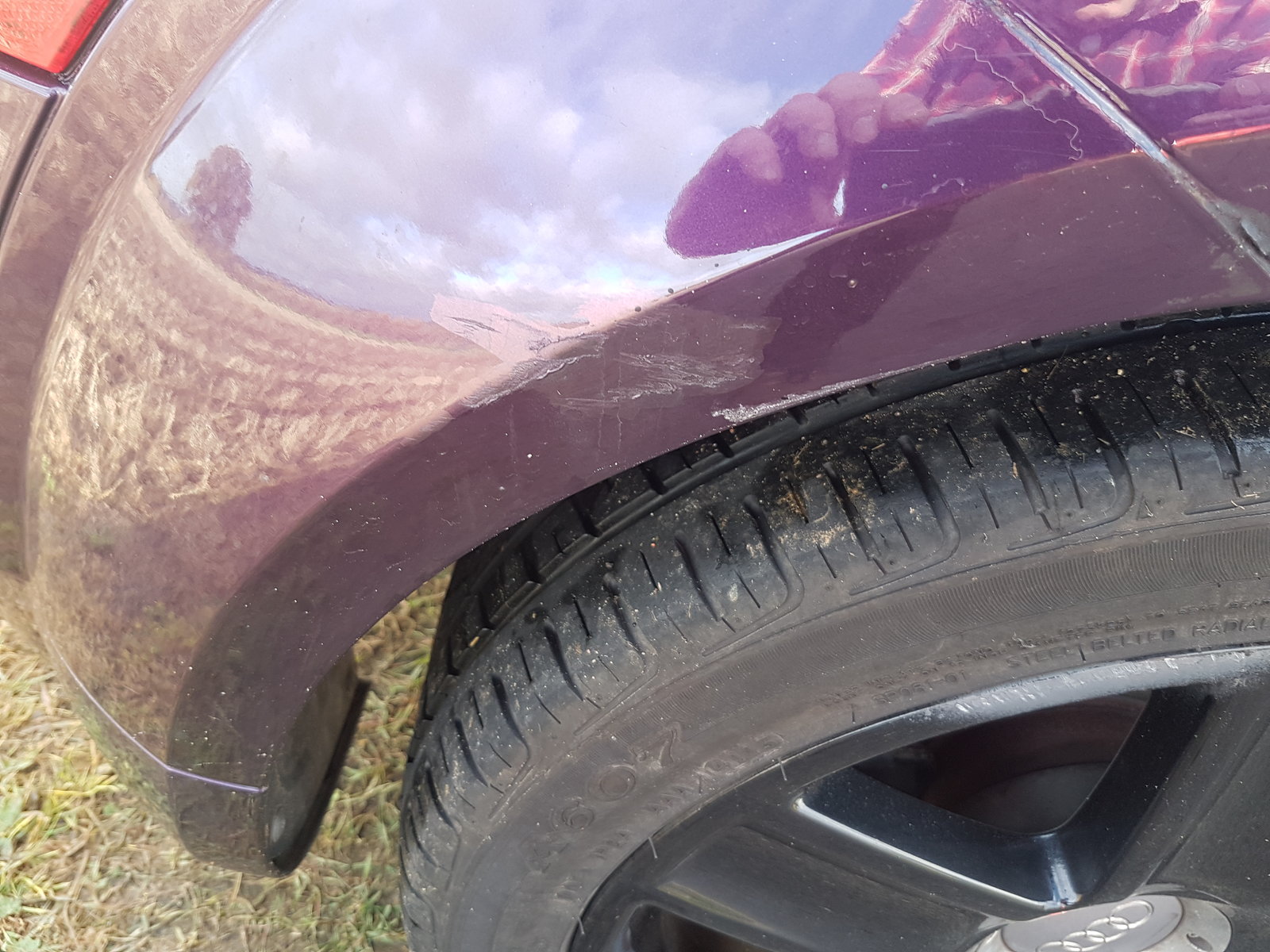 scrape.jpg