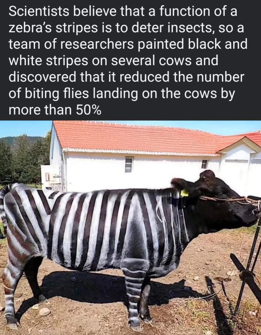 Screenshot_20250708-160835.png