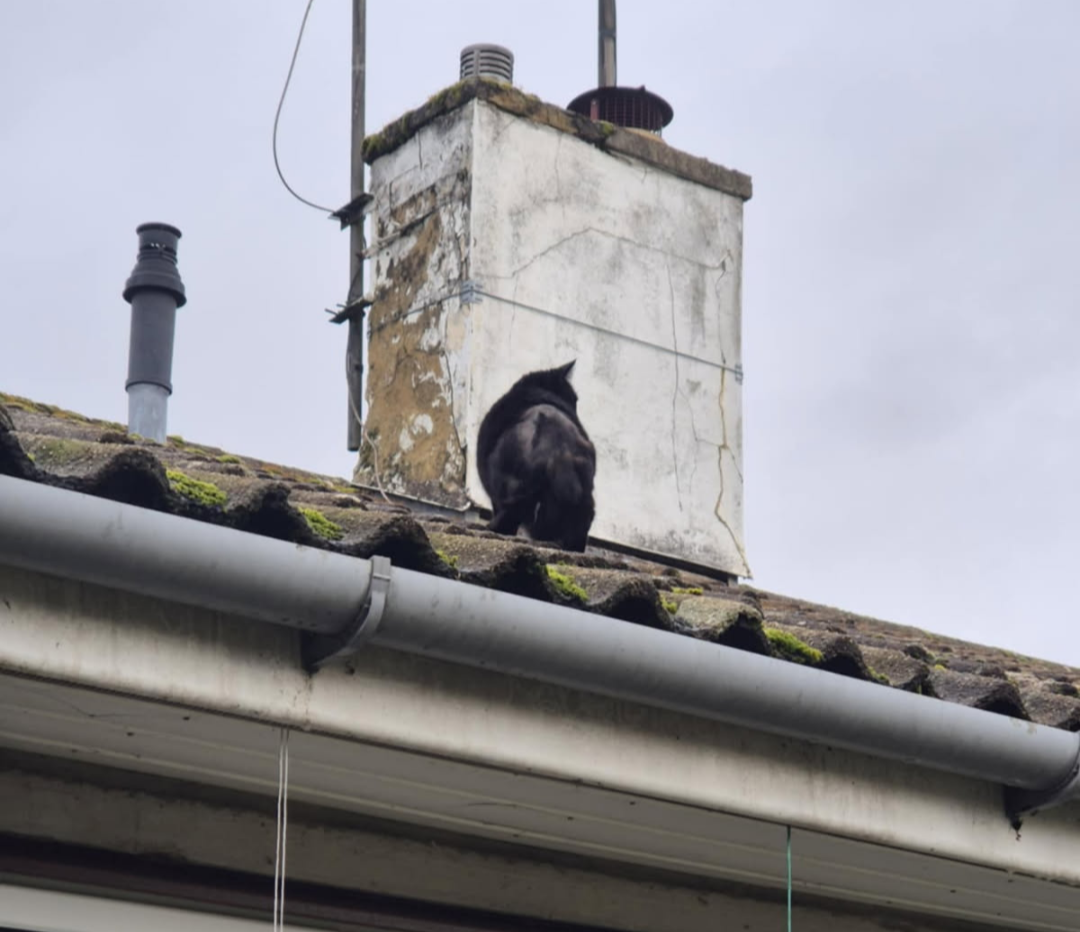 Screenshot_20260220-183320.Moto App Launcher.png