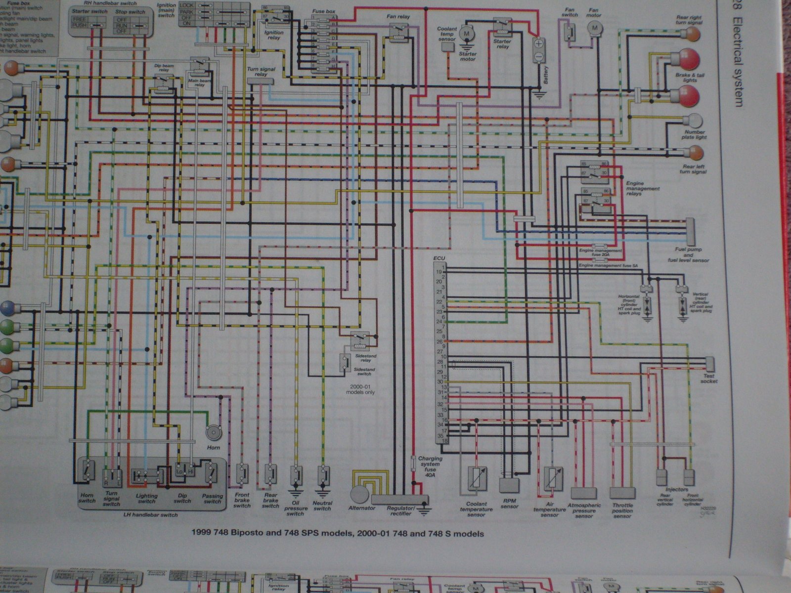 SDC10287.JPG