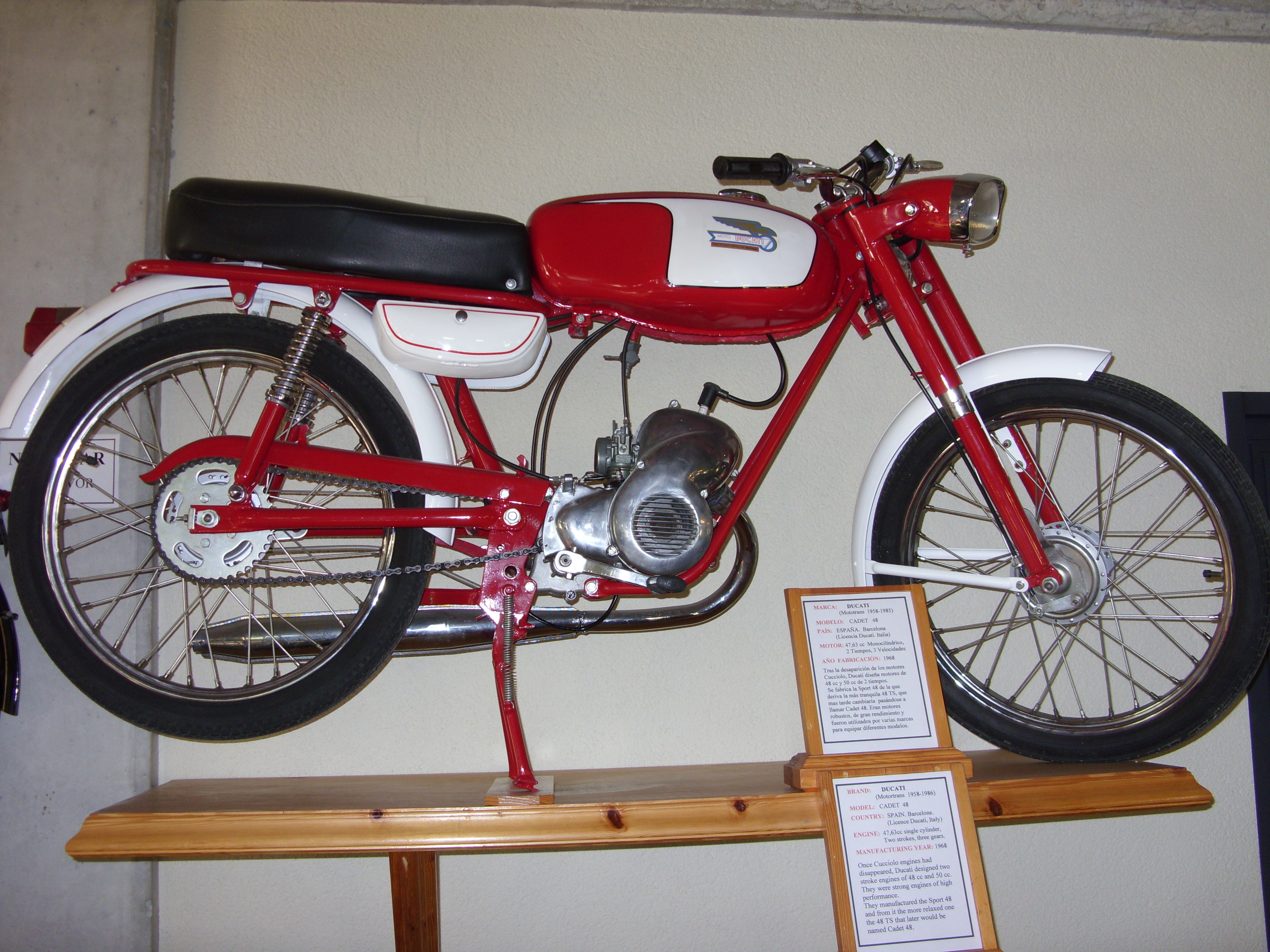 SDC10441.JPG