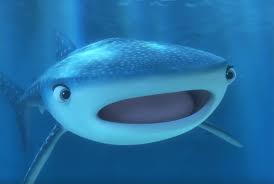 shark.jpg