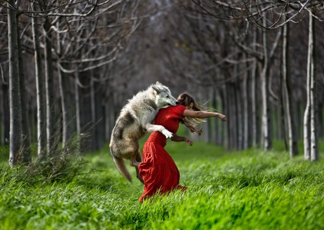 shewolf.jpg