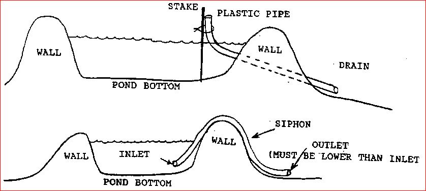siphon.JPG
