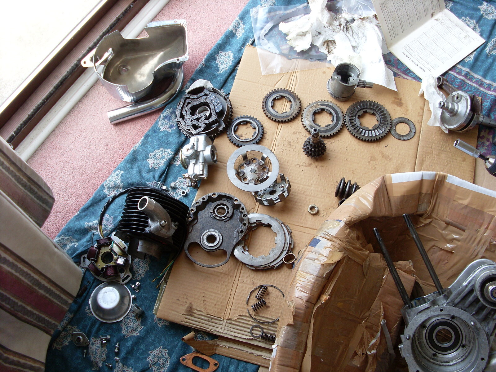 SL380245.JPG