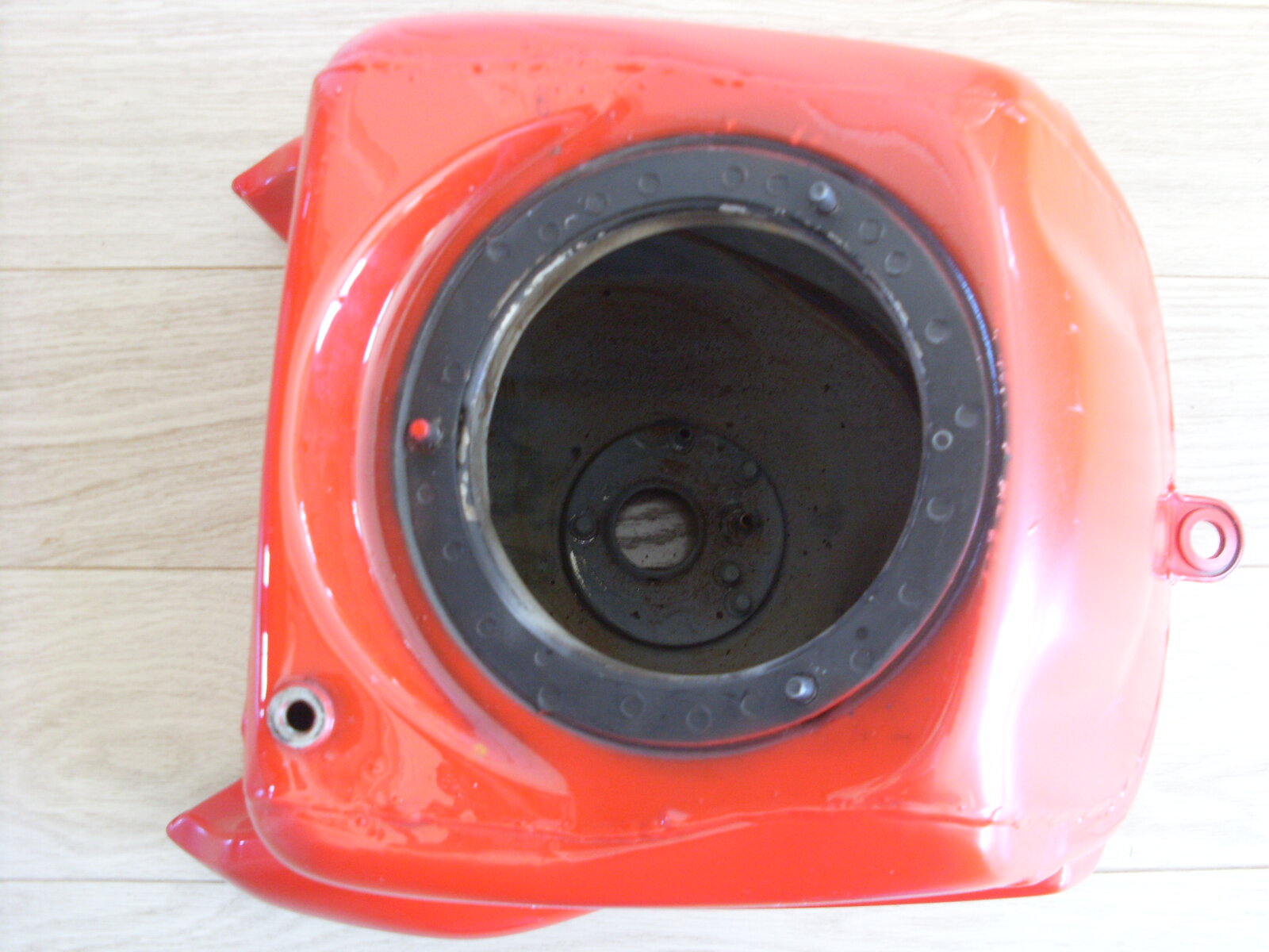 SL382448.JPG