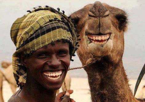 smiley-faces-funny-picture.jpg