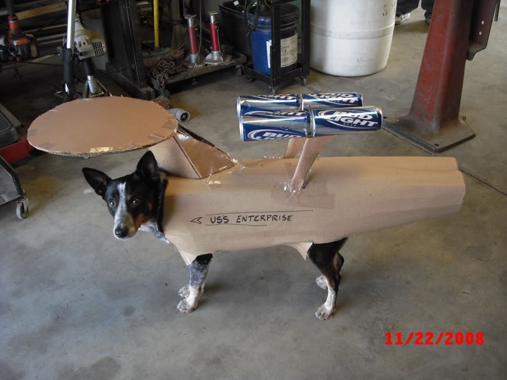 Spacedog.jpg