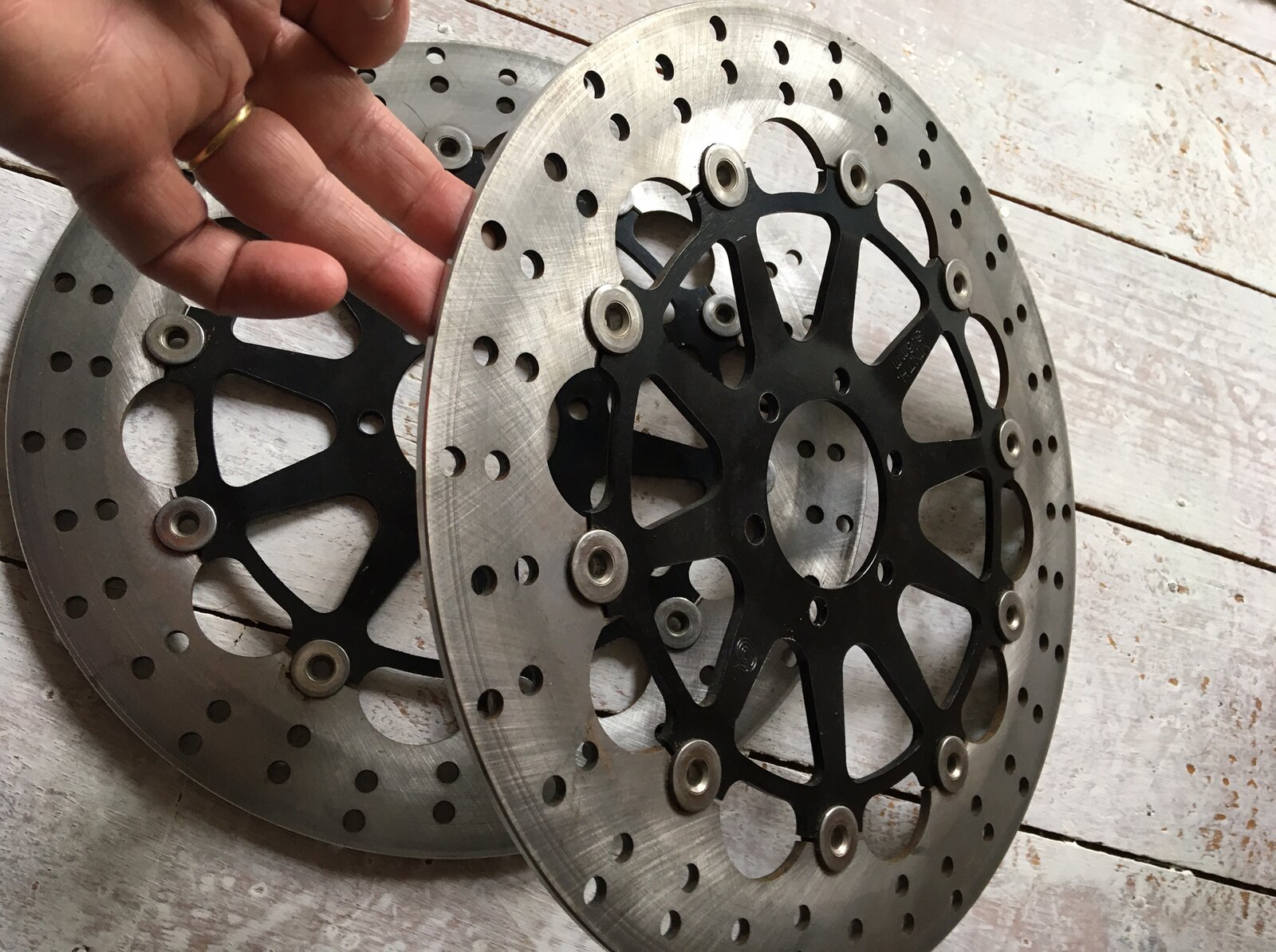 Sport Classic Discs 2.JPG