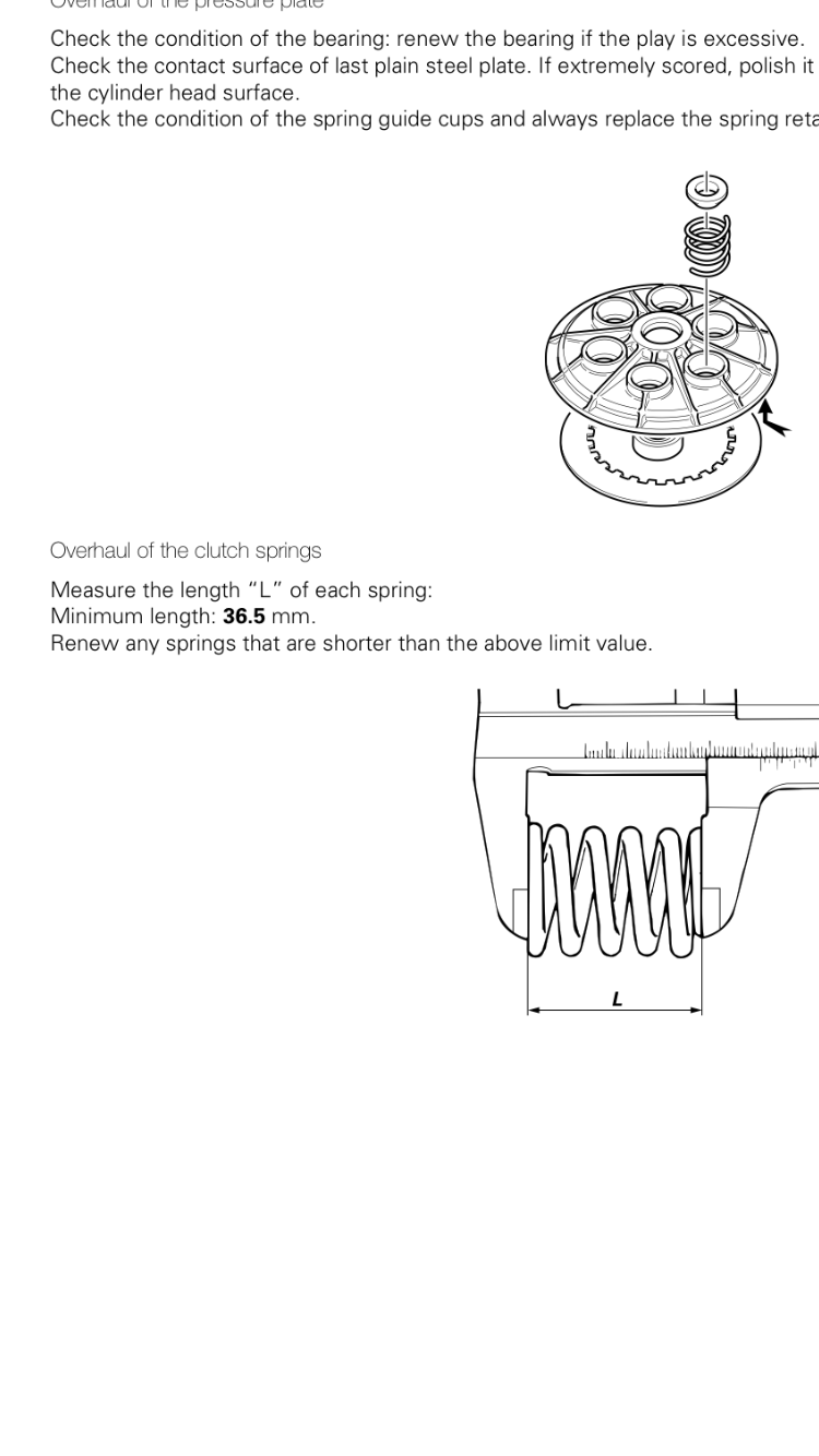 Springs Measurement 36.5.PNG