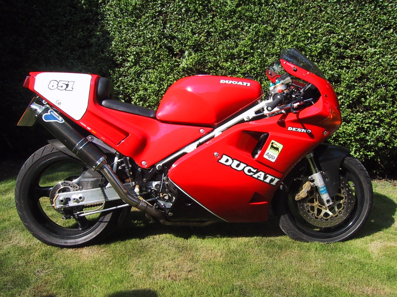 Steve 888 SP3.JPG