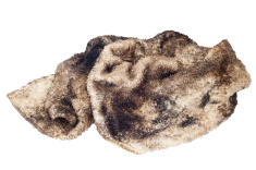 stock-photo-19574916-oily-rag-isolated-on-white.jpg