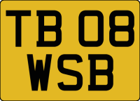 TB 08 WSB.png