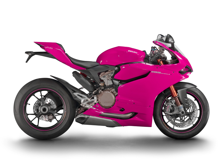 temp_file_panigales-pink-right-whitebg1.jpg